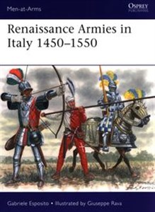Bild von Renaissance Armies in Italy 1450-1550