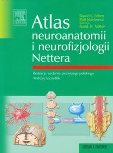 Bild von Atlas neuroanatomii i neurofizjologii Nettera