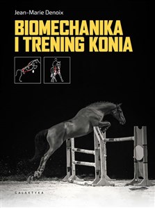 Bild von Biomechanika i trening konia
