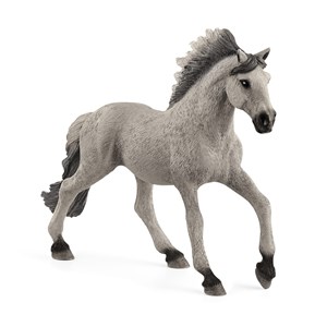 Obrazek Koń Mustang ogier rasy Sorraia SLH13915