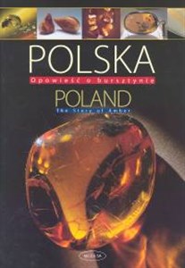 Bild von Polska Opowieść o bursztynie