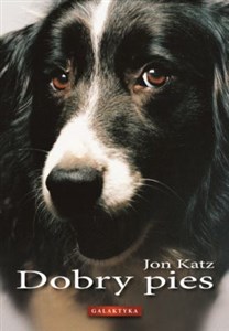 Bild von Dobry pies