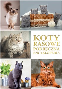 Obrazek Koty rasowe Podręczna Encyklopedia