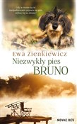 Niezwykły ... - Ewa Zienkiewicz -  Polnische Buchandlung 