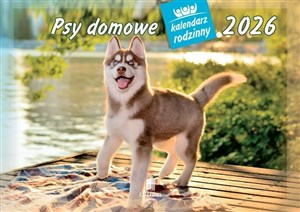 Obrazek Kalendarz 2026 rodzinny Psy Domowe
