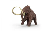 Zobacz : Mamut