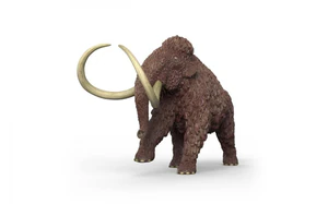 Bild von Mamut