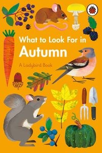 Bild von What to Look For in Autumn