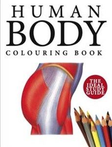 Obrazek Human Body Colouring Book