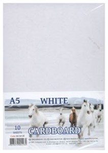Obrazek Karton biały A5 10 arkuszy 230g/m2