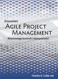 Obrazek Zrozumieć Agile Project Management Równowaga kontroli i elastyczności