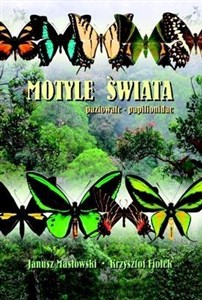 Bild von Motyle Świata. Paziowate - Papilionidae TW