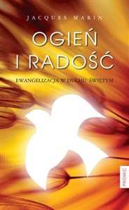 Obrazek Ogień i radość Ewangelizacja w Duchu Świętym