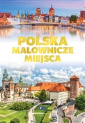 Polska Mal... - Opracowanie Zbiorowe -  polnische Bücher