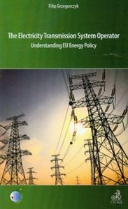 Bild von The electricity transmission system operator Understanding EU Energy Policy