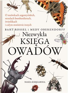 Obrazek Niezwykła księga owadów