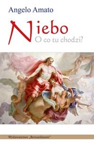 Obrazek Niebo O co tu chodzi?