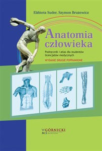 Obrazek Anatomia człowieka Podręcznik i atlas dla studentów licencjatów