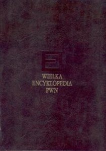 Obrazek Wielka encyklopedia PWN Tom 11