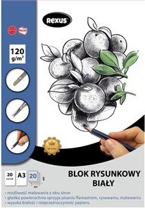 Bild von Blok rysunkowy A3/20K biały Premium
