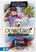 Książka : Odyseusze ... - Agnieszka Stelmaszyk