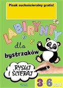 Zobacz : Labirynty ... - Opracowanie Zbiorowe