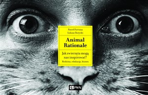 Bild von Animal Rationale Jak zwierzęta mogą nas inspirować? Rodzina, edukacja, biznes