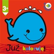 Już koloru... - buch auf polnisch 