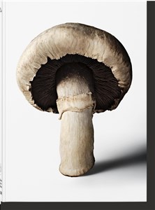 Bild von The Gourmand's Mushroom. A Collection of Stories & Recipes