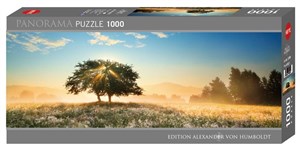 Bild von Puzzle 1000 Zabawa światłem