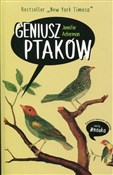 Polska książka : Geniusz pt... - Jennifer Ackerman
