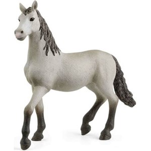 Obrazek Hiszpański młody koń SLH13924