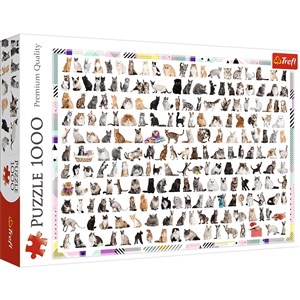 Obrazek Puzzle 208 kotów 1000