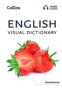 Obrazek English Visual Dictionary