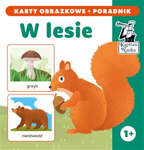 Obrazek W lesie (karty obrazkowe + poradnik)