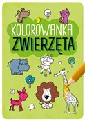 Kolorowank... - Opracowanie Zbiorowe - buch auf polnisch 