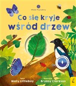 Polska książka : Młodzi prz... - Molly Littleboy