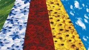 Bild von Karton dekorac 270g 23x33cm 5 arkuszy