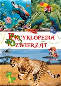 Polnische buch : Encykloped... - Marta Kępa