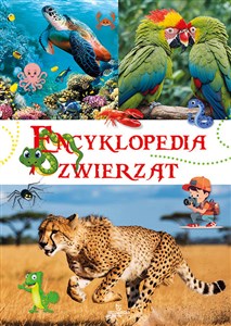 Obrazek Encyklopedia zwierząt