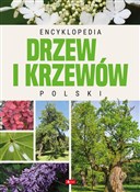 Encykloped... - Opracowanie Zbiorowe -  fremdsprachige bücher polnisch 