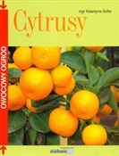 Polnische buch : Cytrusy - Katarzyna Goller