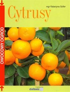 Bild von Cytrusy