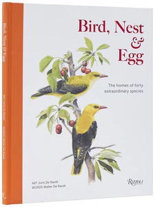 Obrazek Bird, Nest & Egg