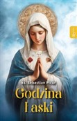 Godzina ła... - Sebastian Picur - buch auf polnisch 