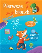 Pierwsze k... - Sandrine Lamour (ilustr.) -  polnische Bücher