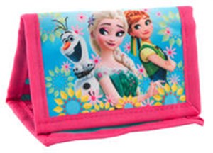 Bild von Portfel Kraina Lodu