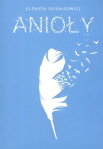 Bild von Anioły