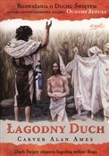 Polnische buch : Łagodny Du... - Alan Ames Carver