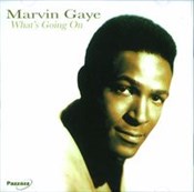 Polnische buch : What's Goi... - Marvin Gaye